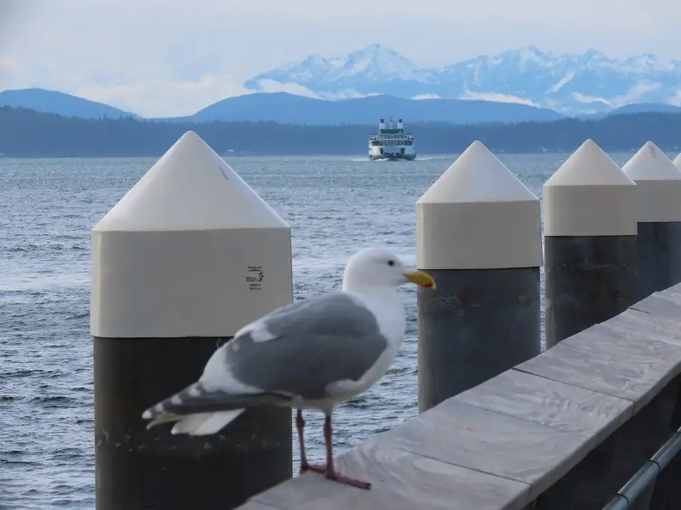 A ferry crosses Puget Sound off Seattle's waterfront